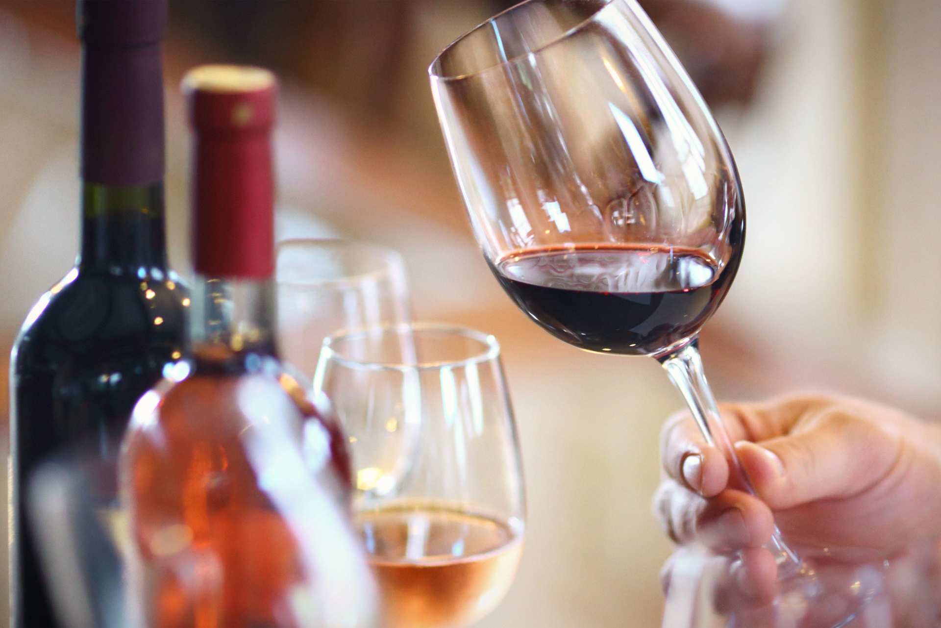 Lauradale Accommodation Attractions in Stellenbosch